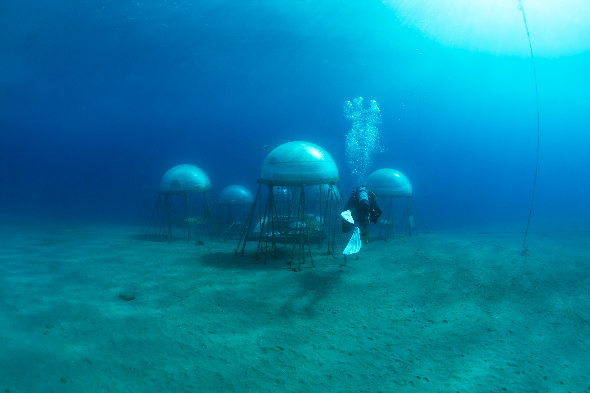 nemos garden