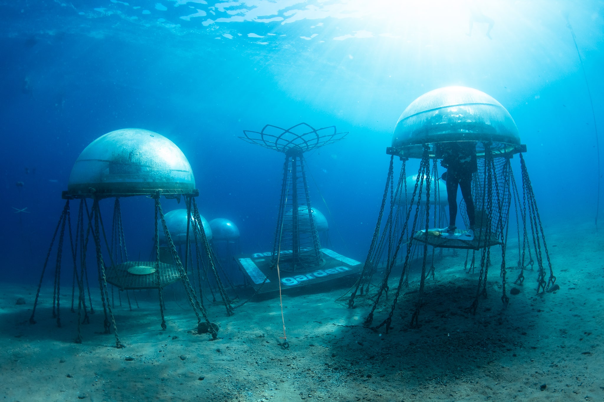 nemos garden