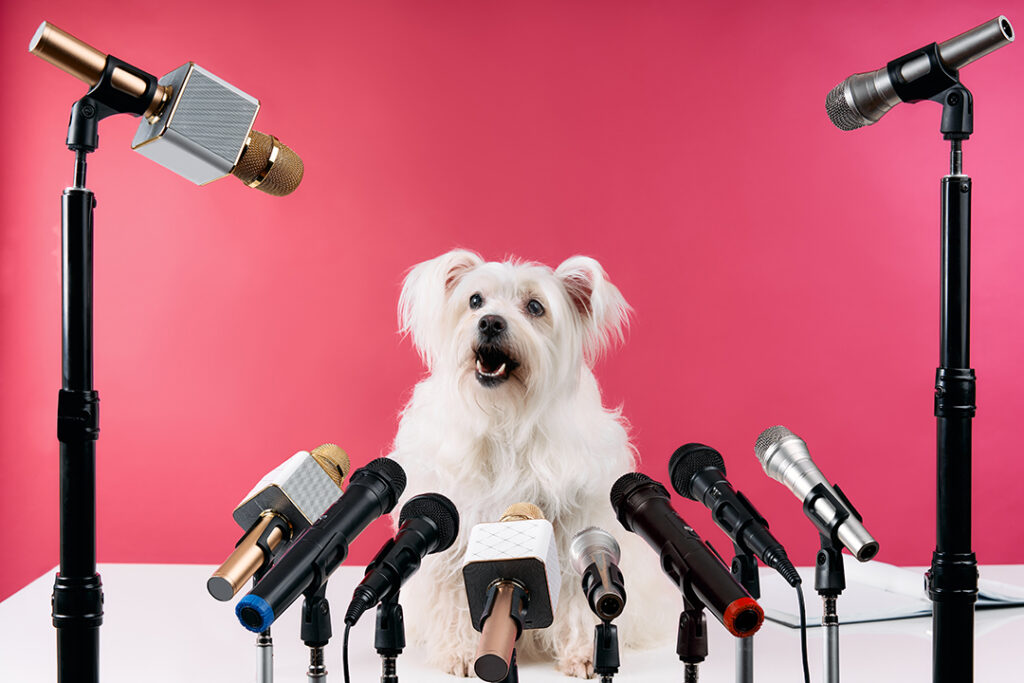 hund som pratar i mikrofoner