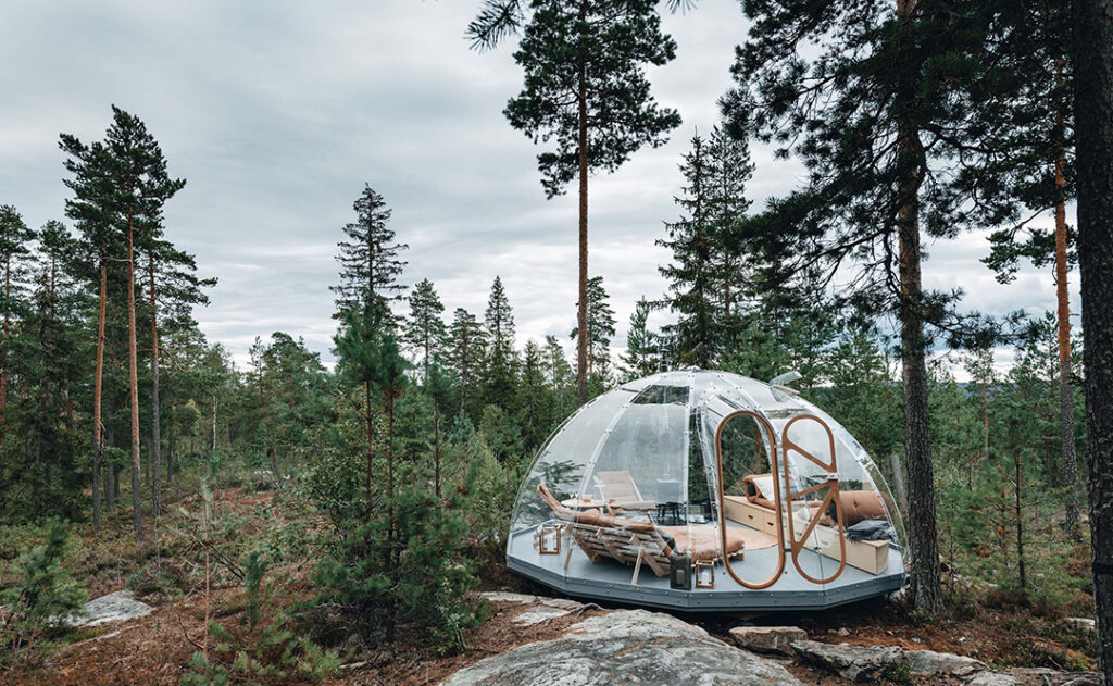 Glamping i Trekos och Elgråkket glasiglo i naturen