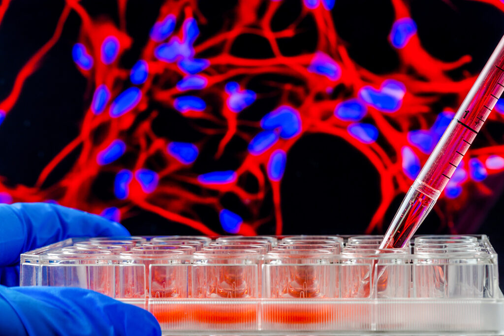 
En vävnadsodlingsplatta med 24 brunnar med en fluorescerande cellbild i bakgrunden