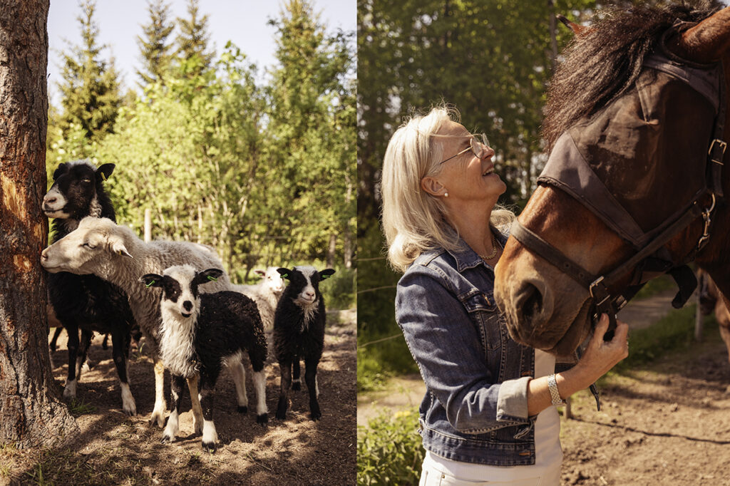 Får och Sara Sjöborg Wik med en häst