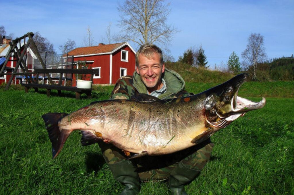 Uwe Lehrer med rekordlaxen från Bergeforsen