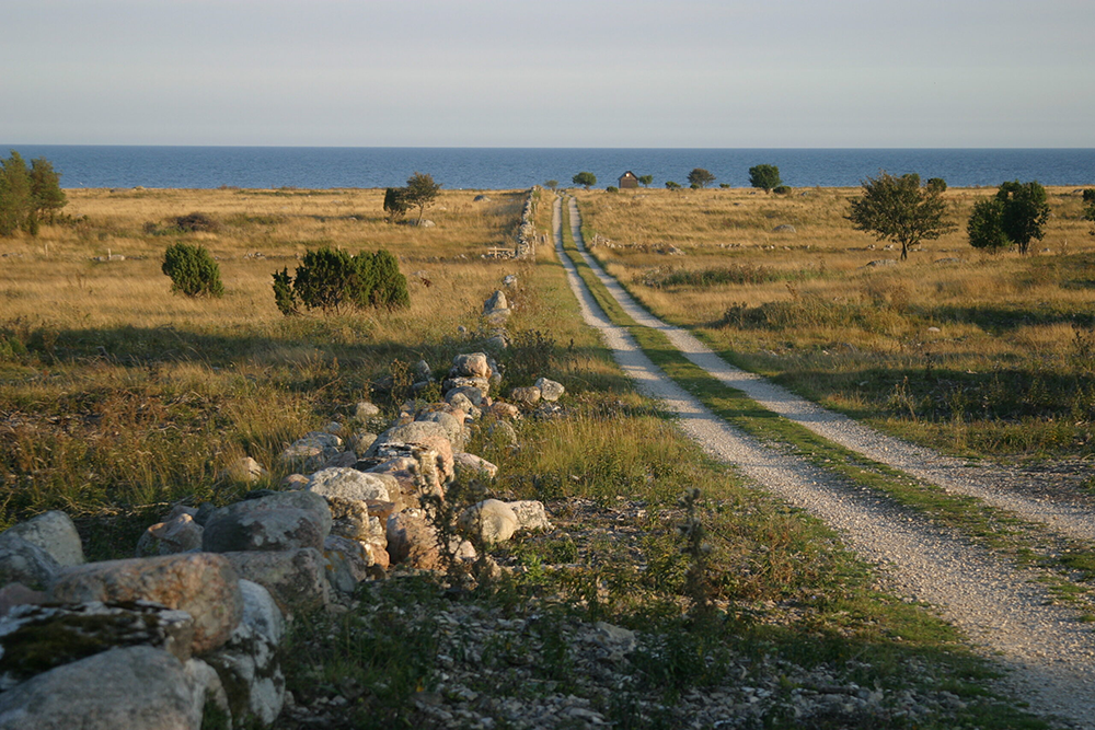 grusväg på gotland