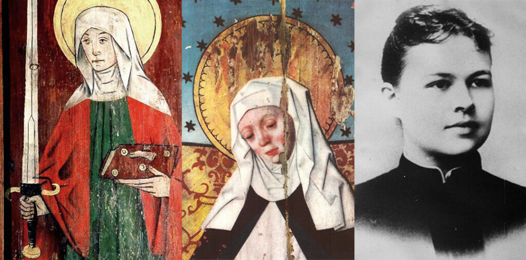 Elin av Skövde, Heliga Birgitta och Elisabeth Hesselblad