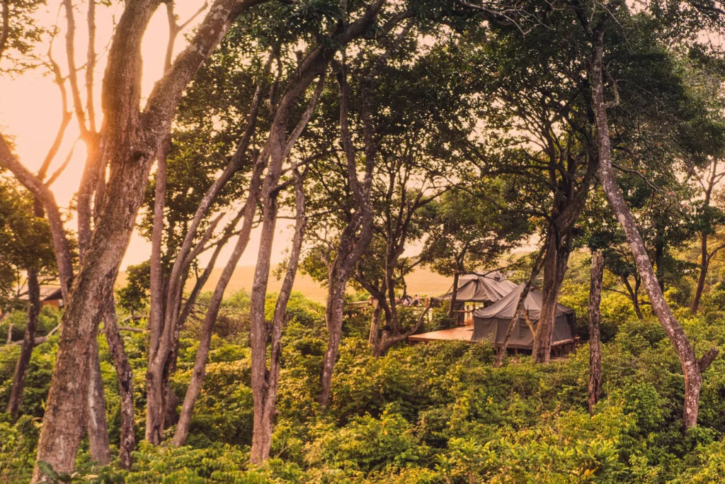 Nyanga Lodge
