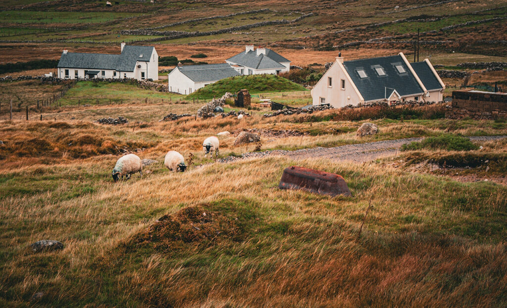 Traditionella irländska stugor vid havet