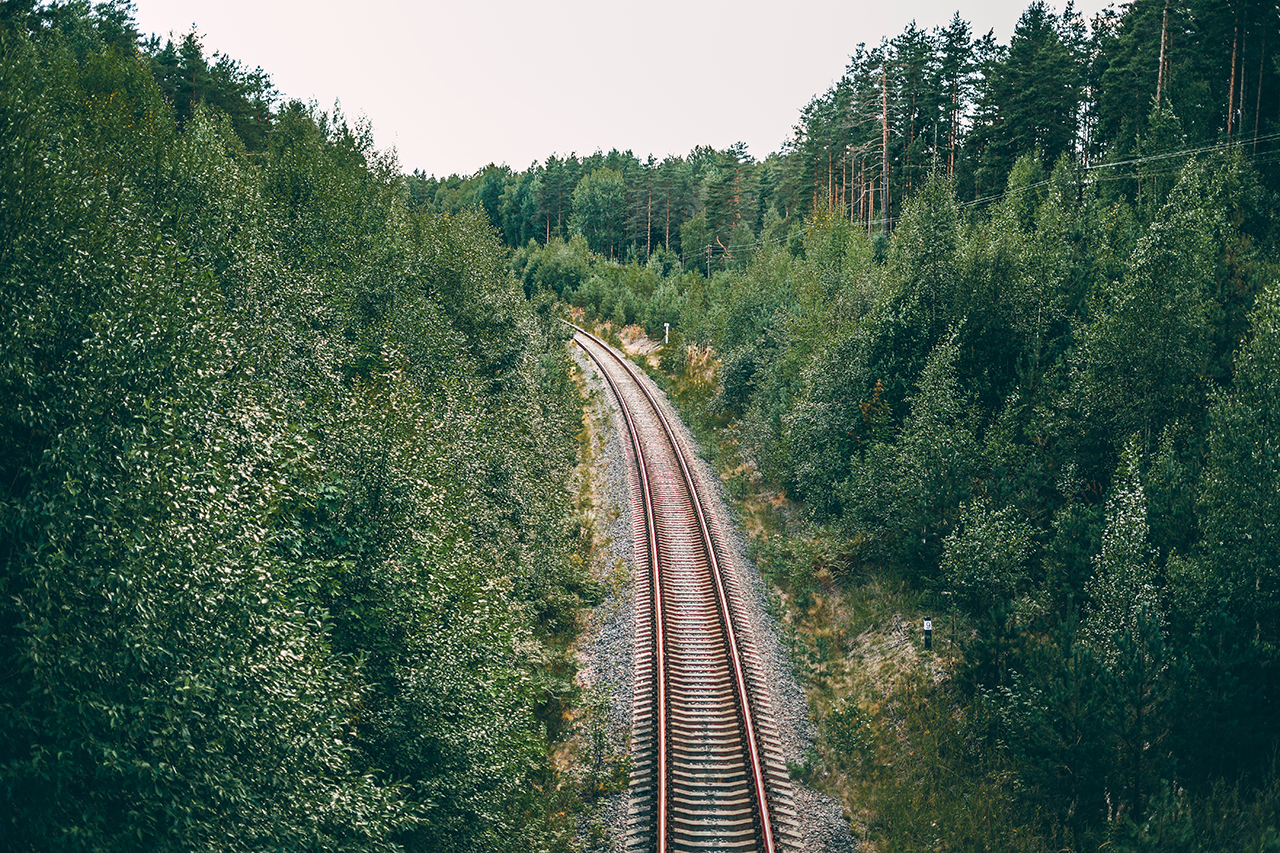 
Järnväg för tåg i en grön skog på sommaren